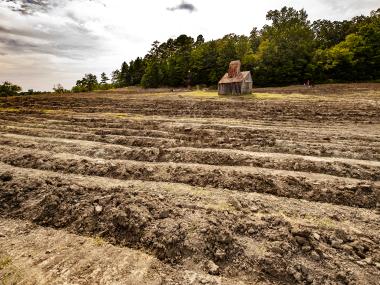 Crater of Diamonds Photo | Arkansas State Parks